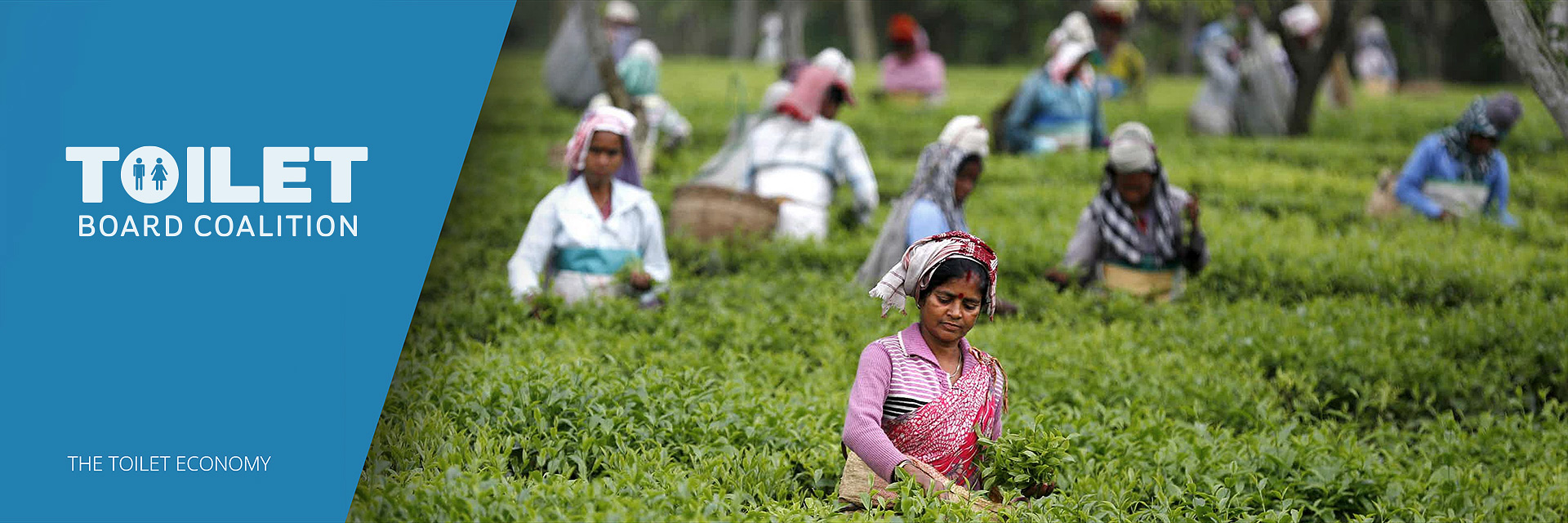 Toilet Board Coalition