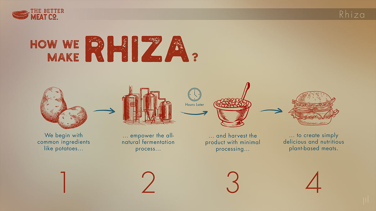 The Better Meat Co. – Slide outlining the four-step process of creating Rhiza mycoprotein, showcasing its production and benefits.