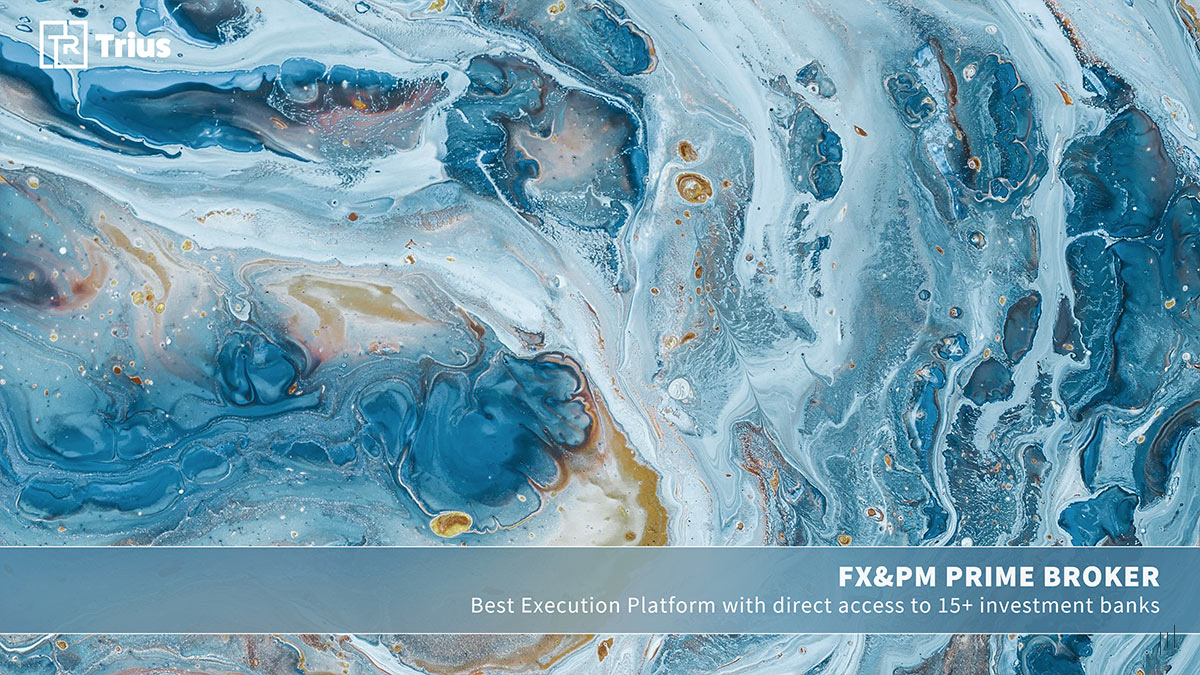 TRIUS Partners – Section title slide introducing the firm’s prime brokerage solutions for FX and PM investments.